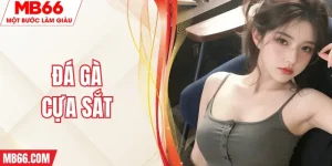 da-ga-cua-sat-mb66